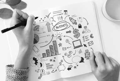 BOB半岛平台：把握数字化潮汐的航海灯塔