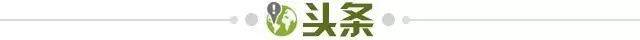 开云体育下载-【早报】新老传控对决？意大利靠防反带走比赛！